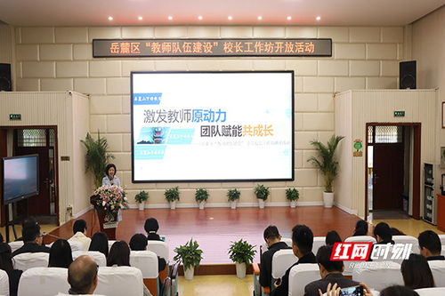 激发教师原动力 团队赋能共成长