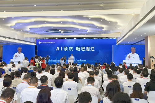 2025互联网岳麓大会在长沙举行 共创智能时代新未来
