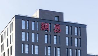 放弃平台战略,网易的教育重心转向自营课程