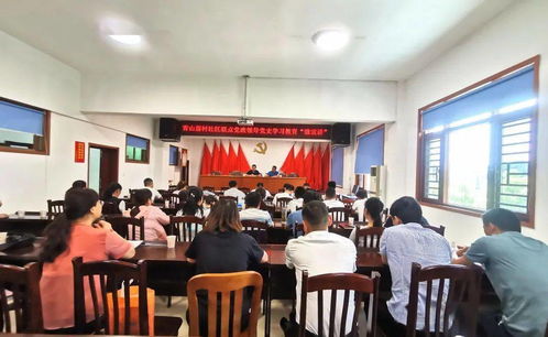 岳麓区新一届村（社区）“两委”成员第三次集中培训 走“新”更走“心”