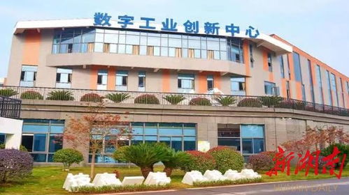 从岳麓山到九郎山 株洲打造职教新高地，服务智造产业新引擎