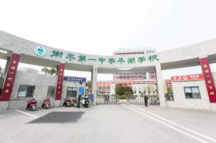 精英教育的另一面 探析美国底层孩子的教育现实