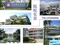 岳麓教育 岳麓国际教育集团的使命与实践